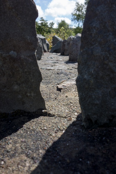DSC01118.jpg