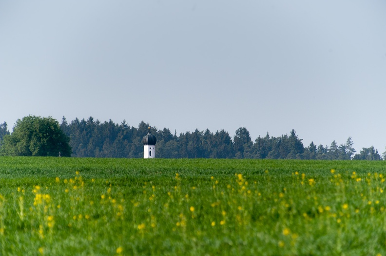 _DSC9331.jpg