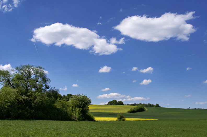 DSC08973_Radiant.jpg